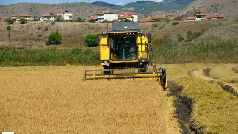 10 Bin Dekarda Toprağın Altını Hasada Çıktı Ekonominin Lokomotifi Ülkeyi Doyuracak Yüksek Fiyatıyla Dikkat Çekiyor