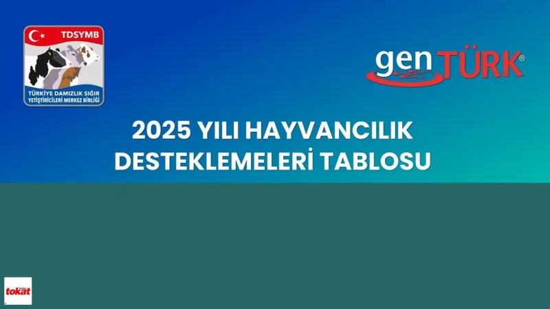 2025 Hayvancılık Desteği: Buzağıya Ne Kadar Ödenecek? Şok Rakamlar!