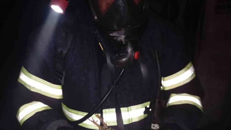 Balıkesir'de Korkunç Yangın! Binlerce Piliç Alevlere Teslim Oldu