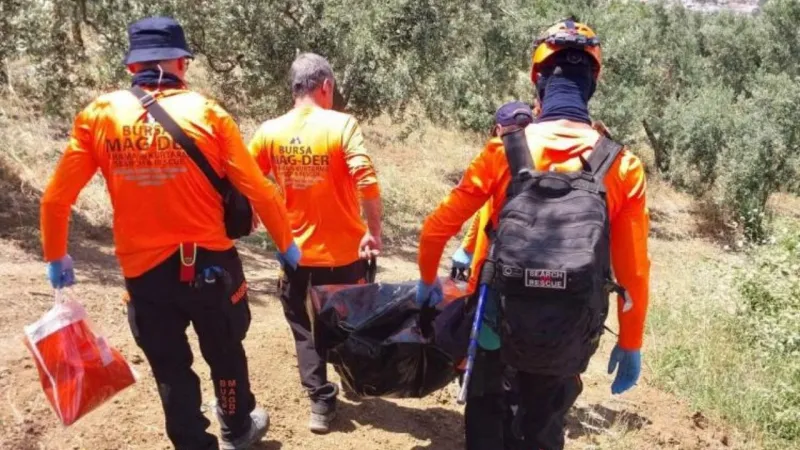 5 Gündür Kayıp Kadından Acı Haber: Zeytinlikte Bulundu