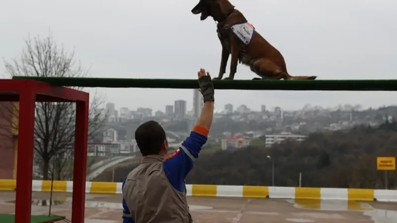 AFAD'dan Yeni Düzenleme: Köpekli Arama Timlerine Sertifika Şartı Getirildi