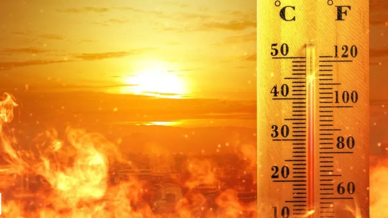 Afrika'dan Gelecek Tokat'a Ateş Gibi Çökecek Pazar Günü Zirve Yapacak Kavurup Duracak