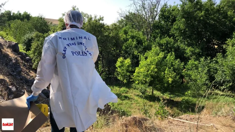Elazığ'da Şok! Ağaçta Erkek Cesedi Bulundu! İntihar mı?
