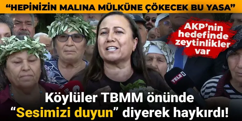 Zeytinlikler Tehlikede Mi? Köylülerden TBMM Önünde Feryat!