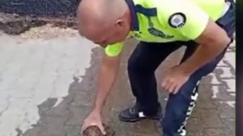 Alevlerin İçindeki Umut: Erbaa’da Polis Kaplumbağayı Kurtardı