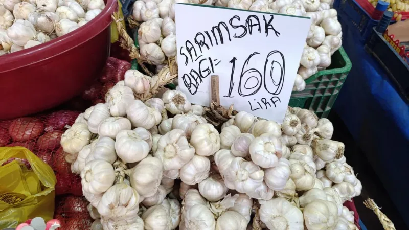 Altın Kadar Yakıyor Tokat'ın Toprağından Acısıyla Çıkıyor Turşu Sezonunda Sarımsak Şoku!