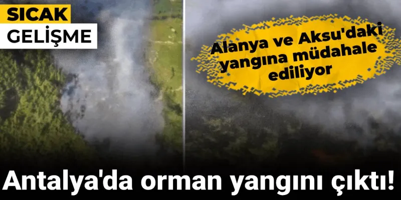 Antalya'da orman yangını çıktı! Alanya ve Aksu'daki yangına müdahale ediliyor