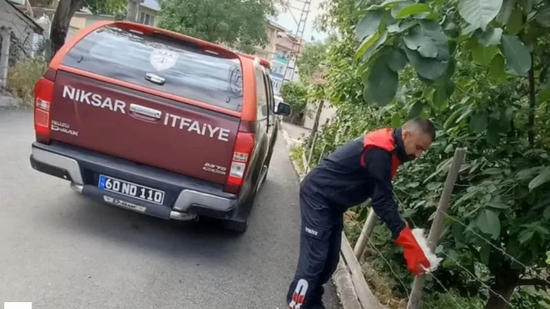 Bahçeden Gelen Ses Minik Pati'yi Kurtardı