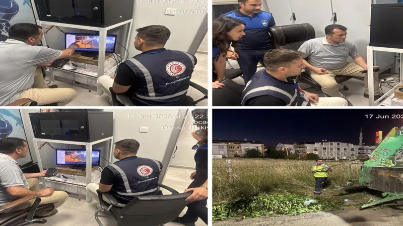 Salatalık İsrafına Rekor Ceza! Bakanlık Açıkladı
