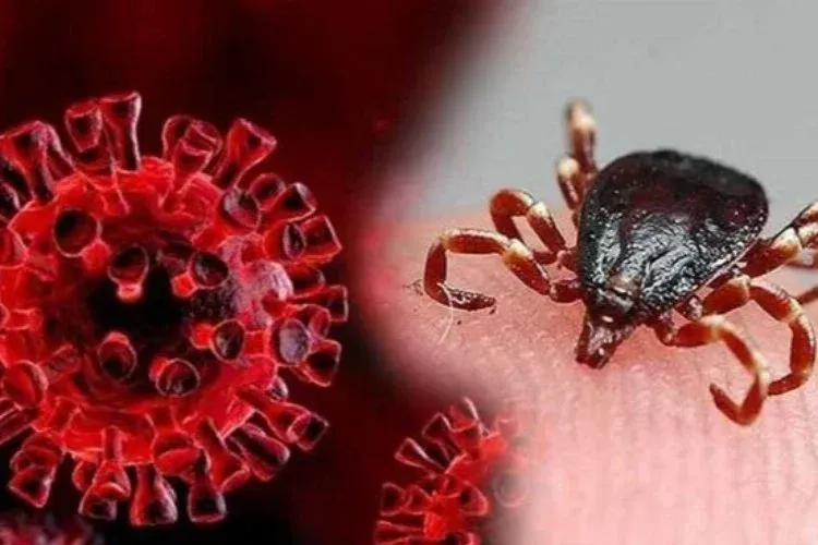 Bakanlık uyarmıştı: Keneden bulaşan KKKA bir can daha aldı