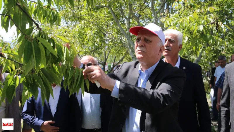 Bayraktar'dan Tokat'ta Zirai Don İncelemesi: Tokat'ta Zarar Yüzde 70 ile 100 Arasında