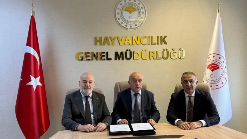 Besilik Hayvan Krizine Neşter