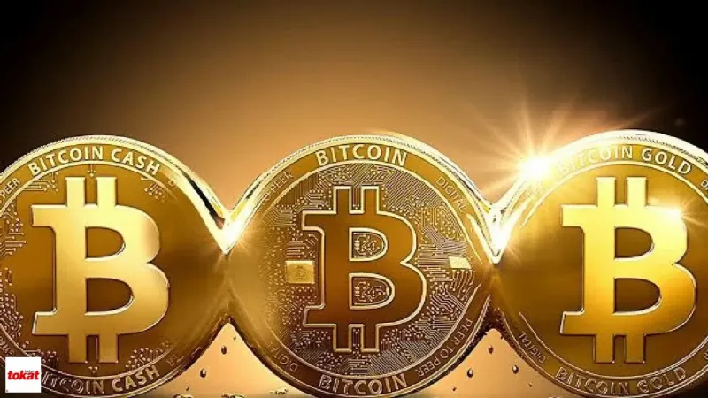 Bitcoin Sert Çakıldı Bir Gecede Milyarlar Buharlaştı Kriptoda Kıyamet Koptu