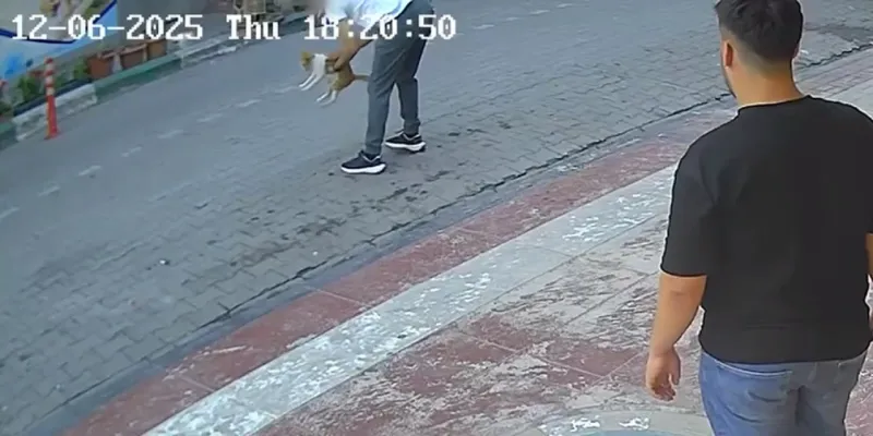 Boğulan kediyi Heimlich manevrasıyla kurtardı