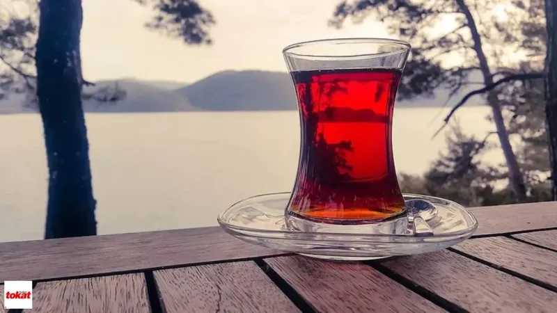 Çay Yerine Boya Mı İçiyoruz? Bakanlık O Markaları İfşa Etti!