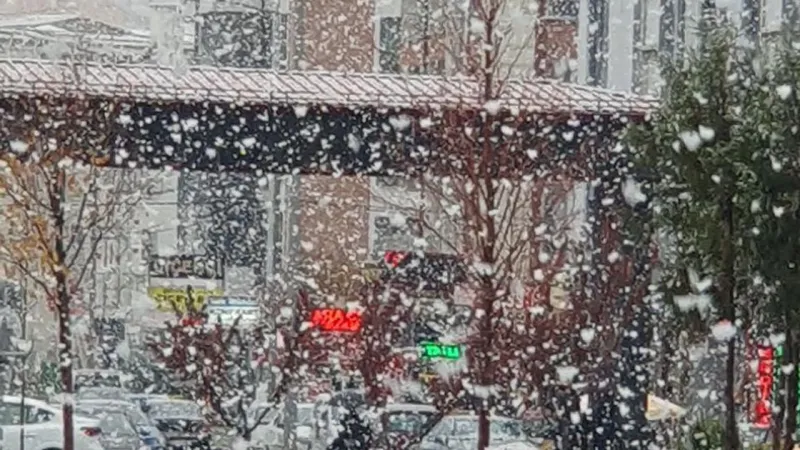 Sivas'ta Şok Kar Sürprizi! Kış, Sonbaharı Fena Yakaladı!