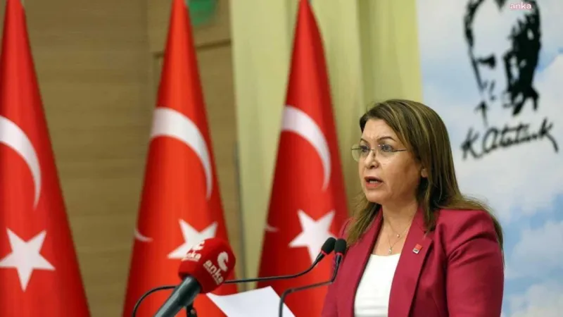CHP'li TBMM Başkanvekili Karaca: Meclis'te saray vesayeti var
