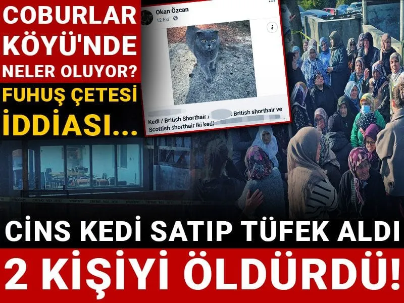 Cins Kedi Cinayeti: Tüfek Alıp Köy Kahvesini Bastı!