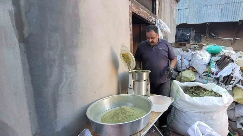 Doğanın hediyesi: 120 bitkiden oluşan zetrin baharatı yeniden keşfediliyor