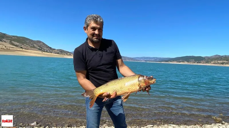Almus Barajı: Balık Cenneti mi, Saklı Doğa Harikası mı?