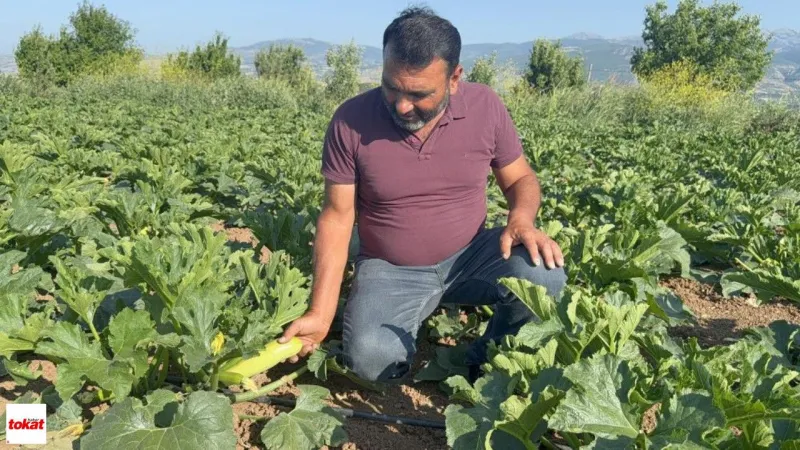 Don Vurdu, Umut Yeşerdi: Tokat’ta Çiftçi Öşür Niyetine 300 Kilo Sebze Dağıttı