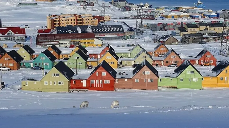 Kutup Ayılarının Hüküm Sürdüğü Yer: Svalbard'da Silah Zorunluluğu!