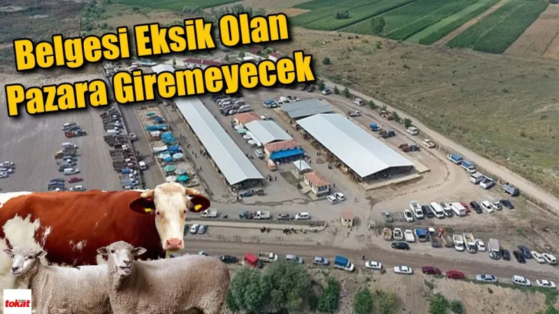 Erbaa Hayvan Pazarı Açılıyor: Bu Uyarılara Dikkat Etmeyen Pişman Olacak!