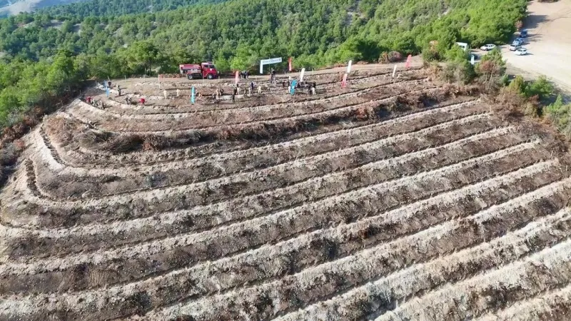 Erbaa’da Yangından Etkilenen Sahalar Yeniden Hayat Buluyor