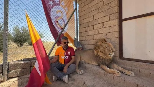 Aslanlı Kutlama! Galatasaray Şampiyonluğu Böyle Coşkuyla Kutlandı