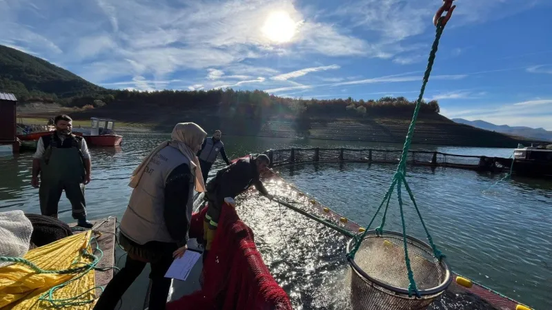 Almus'tan Karadeniz'e Lezzet Köprüsü: Gökkuşağı Alabalığı Seferde!