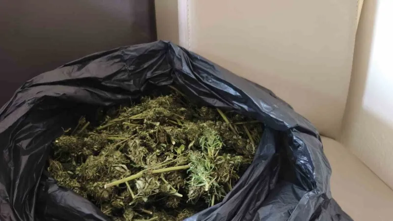 Güvercin Kümesinde Esrar Baskını! Bursa'da Neler Oluyor?