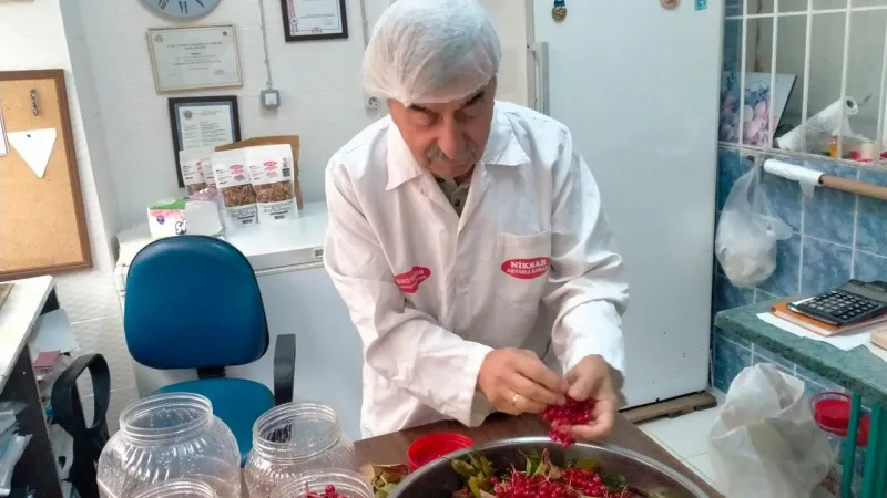 Şeker Hastalığına Doğal Çözüm: Glaburu Mucizesi!
