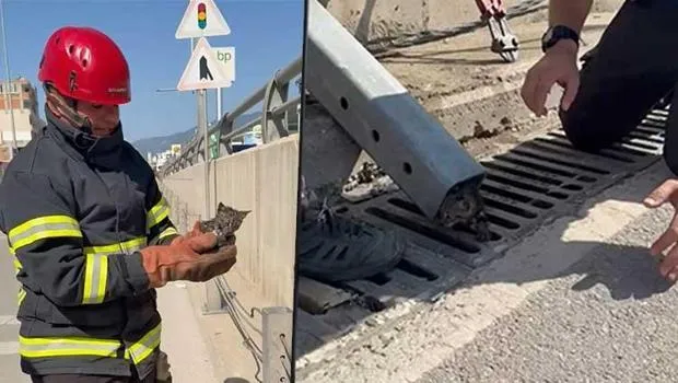 Osmaniye'de Kedi Kurtarma Operasyonu! Minik Yavruya İtfaiye Müdahalesi