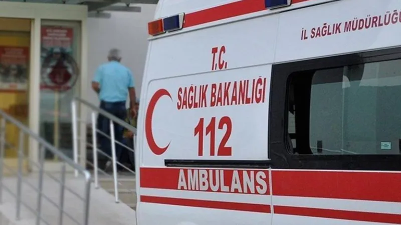 İstanbul'da bu yıl 7 bin 2 kene ısırması vakası yaşandı
