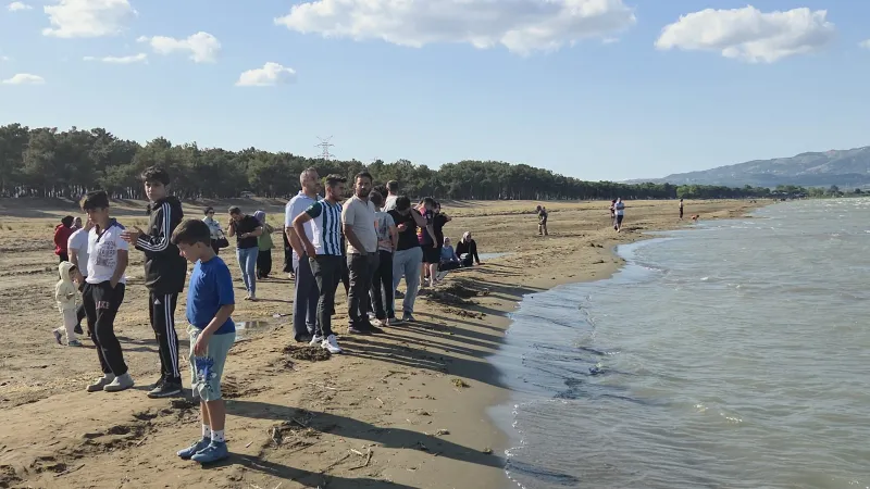 İznik Gölü'ne giren iki kuzen kayboldu