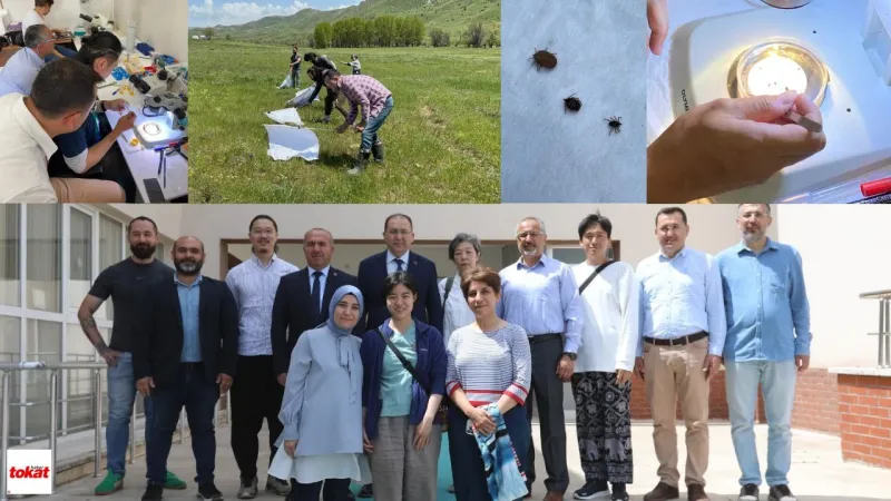 Japonya’dan Tokat’a Sağlık Araştırması: Kene Türleri Derinlemesine İnceleniyor