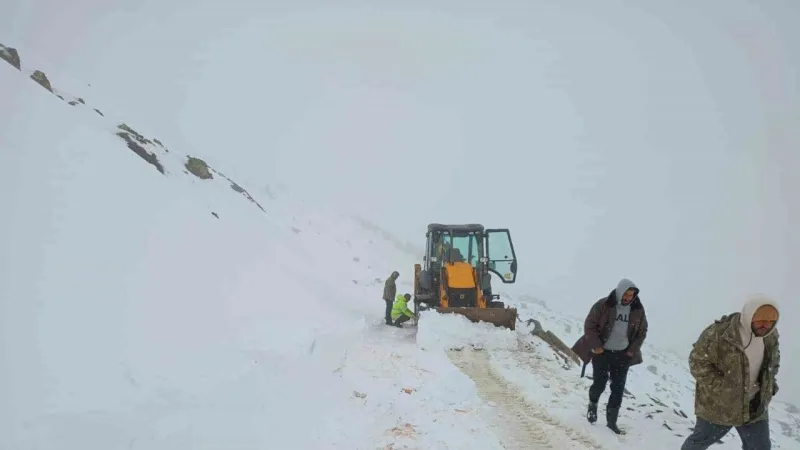 Kar Fırtınası Çobanı Yaylada Esir Aldı! Sonrası Şok Etti