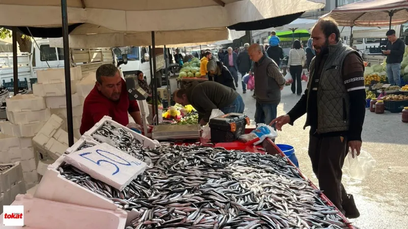 Karadeniz’in Bereketi Erbaa’da: Hamsi 50 TL’den Tezgahta