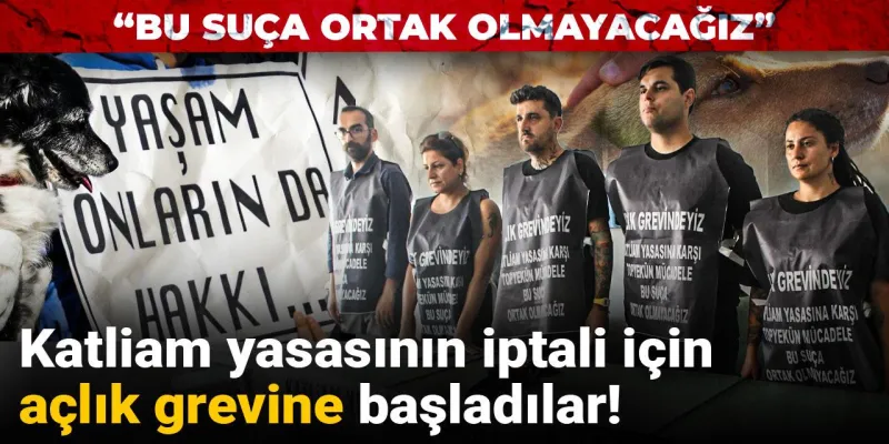 Sokak Hayvanları İçin Alarm! Açlık Grevi Başladı!