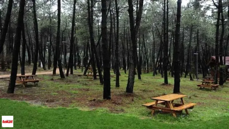 Tokat'ta Konaklamasız Orman Parkı Kiralık! İşte Fırsat Detayları