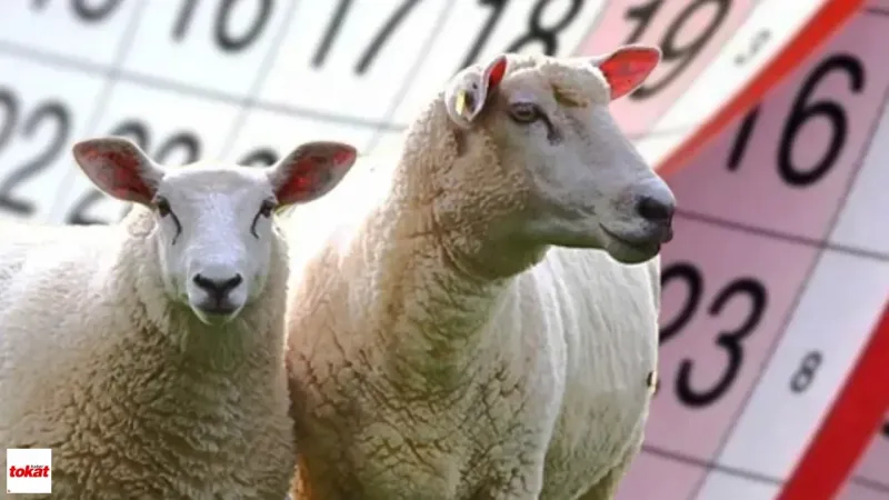 Kurban Bayramı Tatili Kapıda: 9 Günlük Müjde