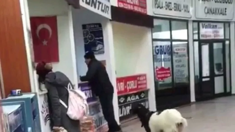 Keçi Hırsızlığı! Kurban Bayramı'nda Otogarda Para Çalan Keçi
