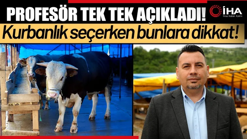 Kurbanlık Seçimi ve Kesimi İçin Altın Tavsiyeler