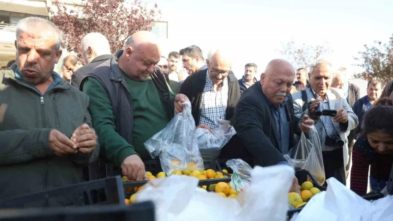 Mandalina Fiyatı Çakıldı! Üreticiden Bedava Mandalina Şöleni!