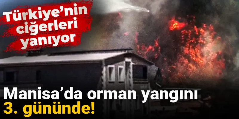Manisa'da Orman Yangını Kabusu! Ciğerlerimiz Yanıyor Mu?