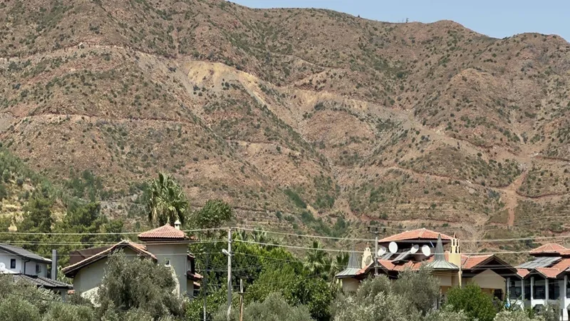 Marmaris'teki Yangın Sonrası Mucize! O Alanlar Yeşillendi mi?