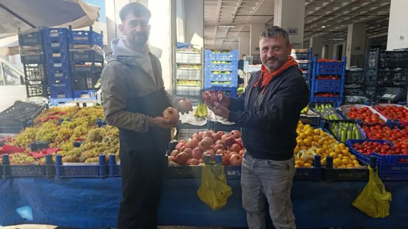 Tokat'ta Nar Şoku! Meyve Değil, Resmen Şifa Deposu! Fiyatı Duyunca...