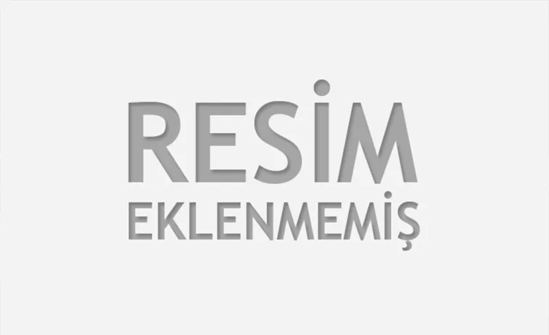 Nedenlerin İzinde (13)