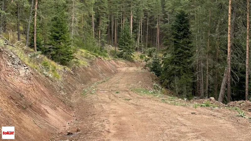 Tokat'ta Yeni Orman Yolu Müjdesi! İhale Tarihi Açıklandı