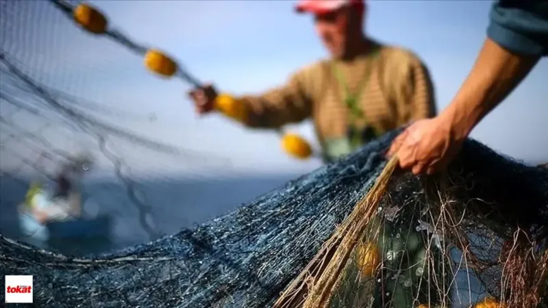 Balon Balığı Avına Devlet Desteği Arttı! Balık Tutmak Artık Kazançlı